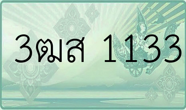 3ฒส 1133